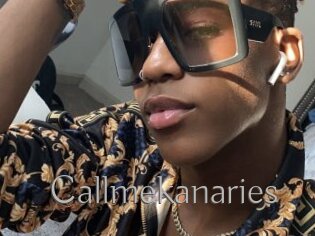 Callmekanaries