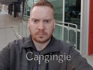 Cangingie
