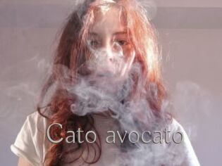 Cato_avocato
