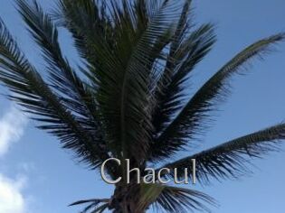 Chacul