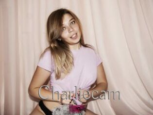 Charliecam