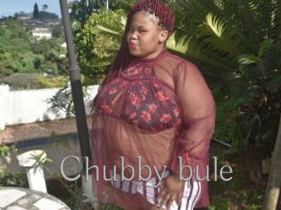 Chubby_bule