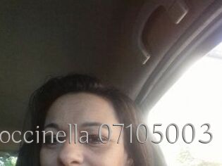 Coccinella-07105003