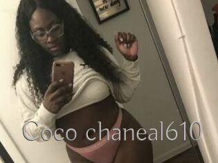 Coco_chaneal610