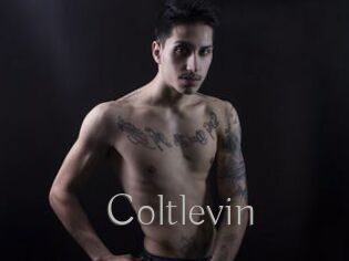 Coltlevin
