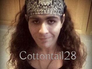 Cottontail28