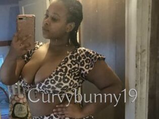 Curvybunny19