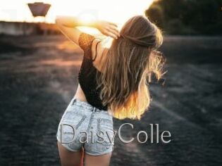 DaisyColle