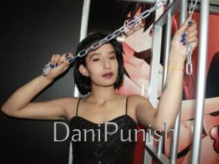 DaniPunish
