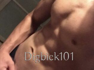Digbick101