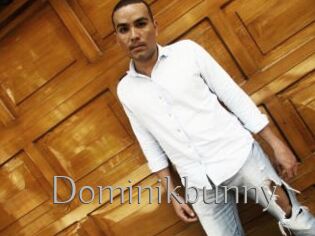 Dominikbunny