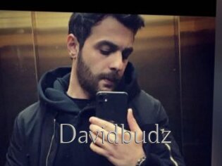 Davidbudz