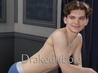 Drakedribble