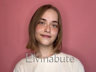 Elvinabute
