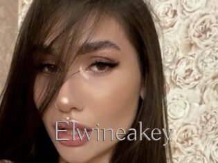 Elwineakey