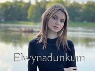 Elwynadunkum