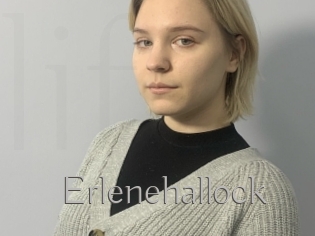 Erlenehallock