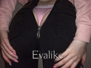 Evalike