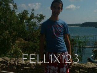 FELL1X123