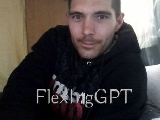 FlexIngGPT