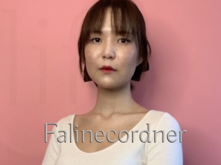 Falinecordner