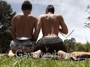 Gaysveryhorny