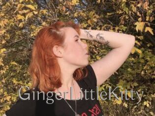 GingerLittleKitty