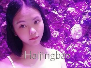 Haijingbao