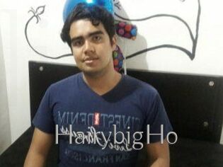 HairybigHo