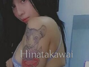 Hinatakawai