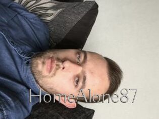 HomeAlone87