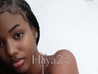 Haya23