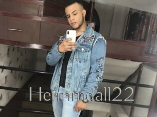 Heimmdall22