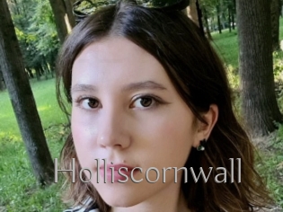 Holliscornwall