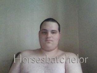 Horsesbatchelor