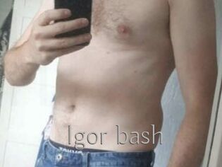 Igor_bash