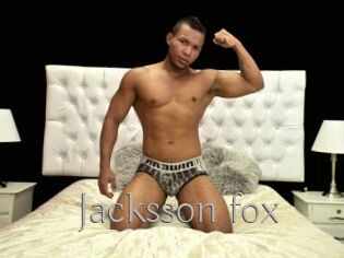 Jacksson_fox