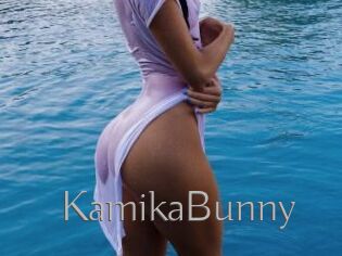 KamikaBunny