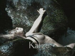 Katze