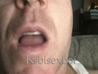 Ksbisexboi