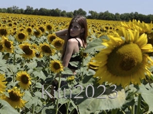 Kitti2023