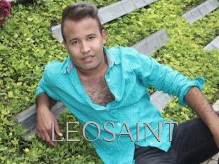 LEOSAINT