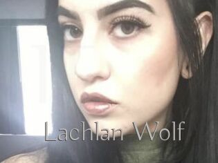 Lachlan_Wolf