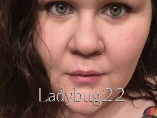 Ladybug22