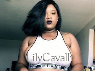 Lily_Cavalli