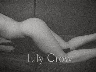 Lily_Crow
