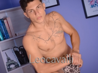 Leocavalli