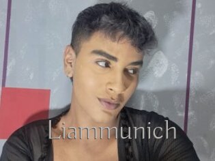Liammunich
