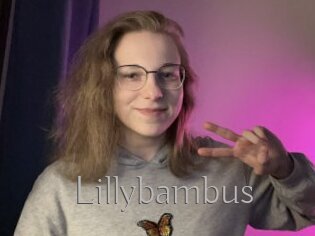 Lillybambus