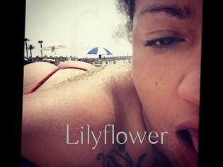 Lilyflower
